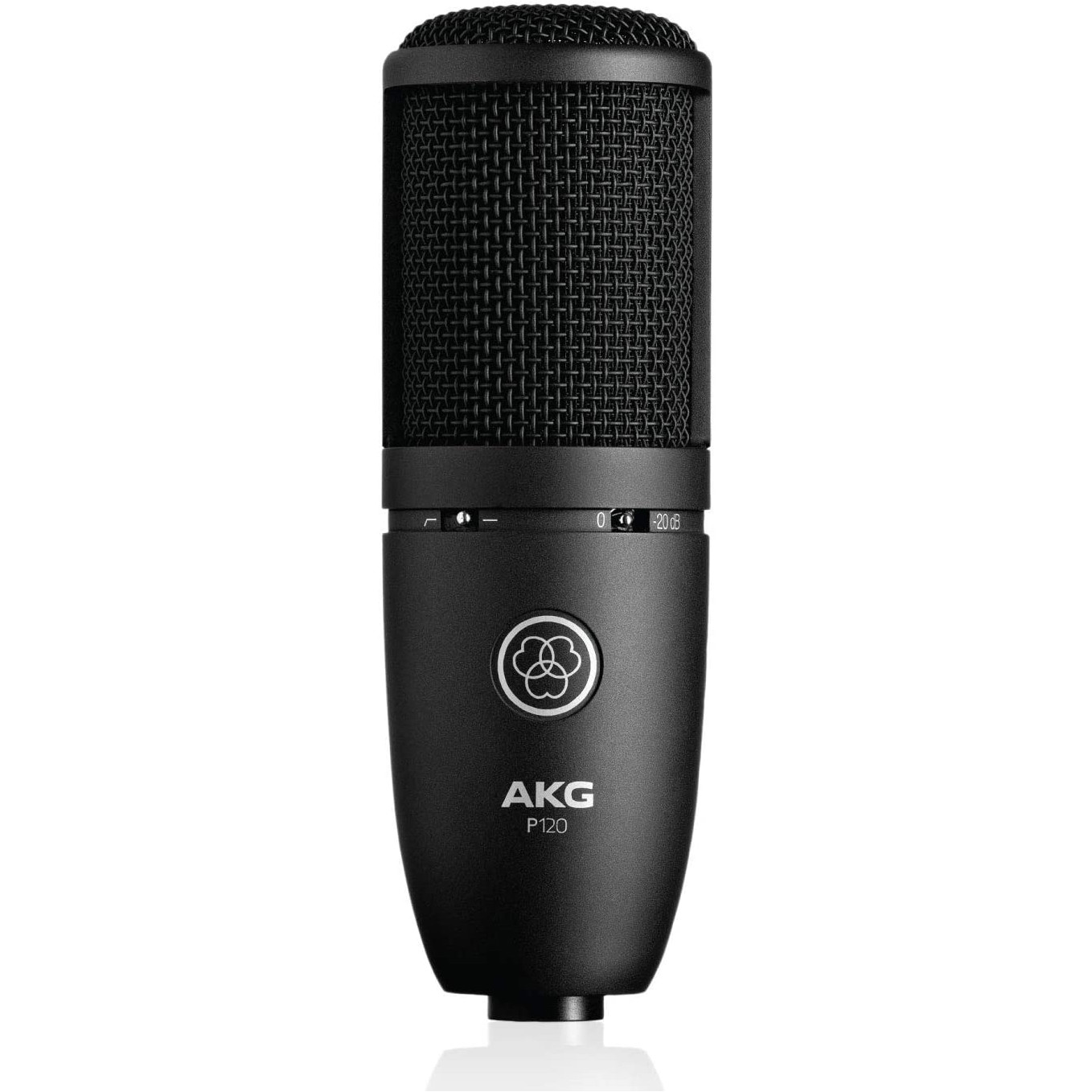 صورة مايك AKG P120