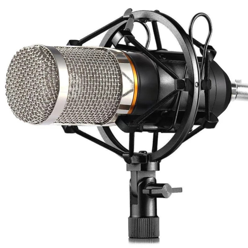 صورة مايك ZingYou BM-800